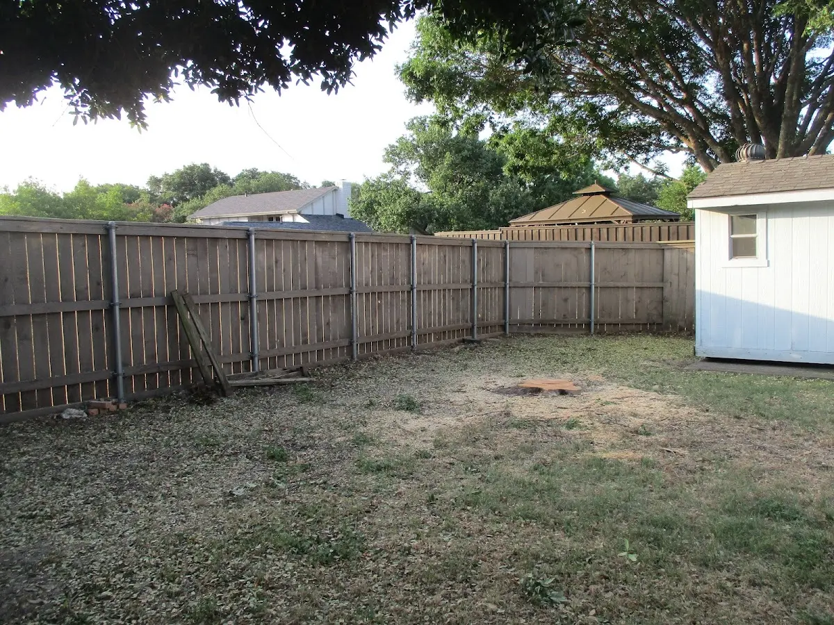 Cleared yard after professional tree removal in Newcomerstown